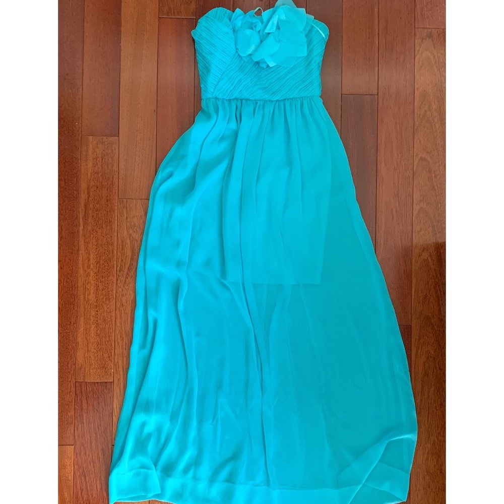 BCBGMazAzria Mini Dress with Maxi Overlay